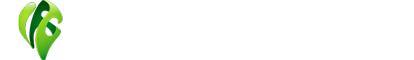 IFG GmbH - Innovative Marketing Solutions